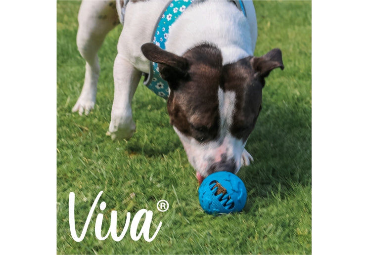 Viva Treat Ball Dog Toy